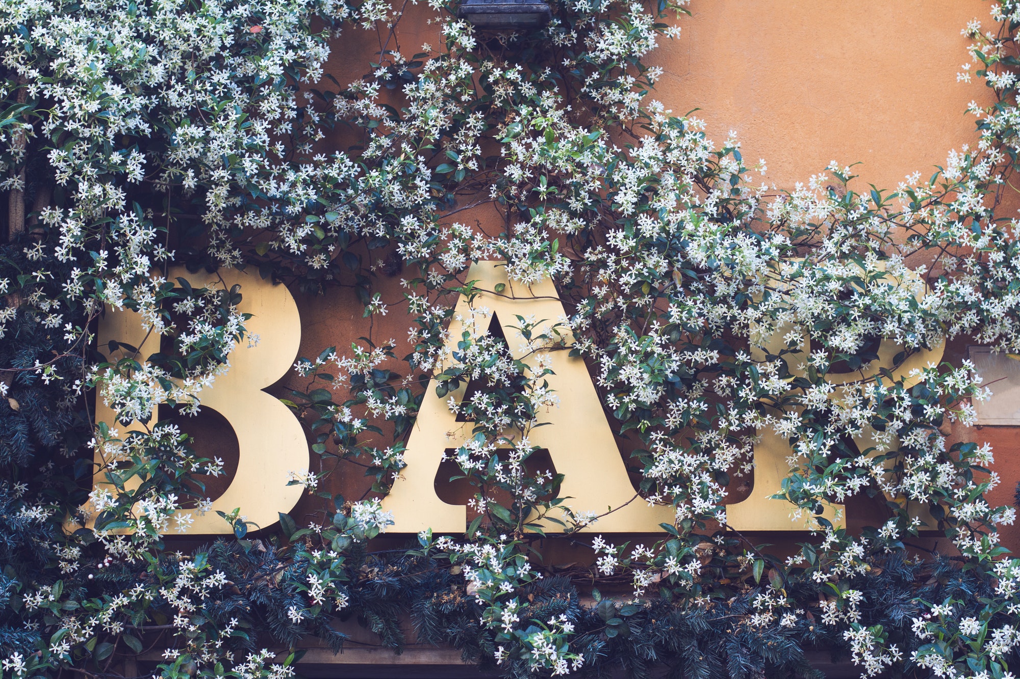 bar signage on a wall covered in flowers